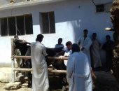 صور.. قافلة مجانية للمسح التناسلى الشامل للثروة الحيوانية بأسوان