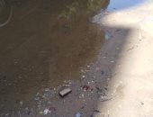 انتشار مياه الصرف الصحى بشارع محمد عرفة تقسيم أباظة ترعة بالمريوطية 