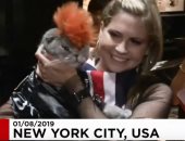 شاهد.. عرض أزياء القطط السنوى بنيويورك