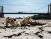 يوليو 2019 يحجز موقعه فى الجحيم.. الأرصاد العالمية: الأكثر سخونة على الإطلاق