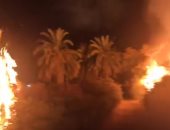 حريق بمزرعة نخيل فى قرية القصر بالوادى الجديد.. والإطفاء تحاول إخماده (صور)