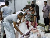 الزراعة: 12 إجراء تنفيذى لمواجهة غش اللحوم والذبح خارج المجازر فى العيد