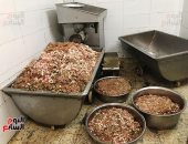 صور.. ضبط 4 أطنان لحوم وكبدة فاسدة قبل ترويجهم فى الأسواق بالغربية