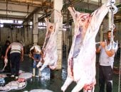 كيف ساهمت إجراءات الحكومة فى وصول إنتاج اللحوم المحلى لـ58%..اعرف التفاصيل 