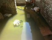 صور.. المياه الجوفية تهدد سكان قرية العطف فى العياط