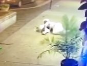 فيديو.. شاب يحتضن حبيبته لينقذها من إطلاق نار عشوائى بولاية أوهايو 