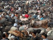 محافظ البحر الأحمر: توفير كافة سبل المساعدة لمستحقي دعم "تكافل وكرامة"