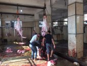 توافد الأهالى على 19 مجزر بكفر الشيخ لذبح الأضاحى .. صور