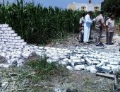 صور.. إزالة التعديات على أراضى زراعية فى ثانى أيام العيد بكفر الشيخ