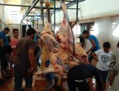 مجازر القليوبية تستقبل 500 رأس أضحية حتى الآن فى عيد الأضحى المبارك
