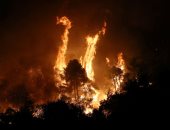 الحرائق تدمر الأخضر واليابس بغابات جزيرة إيفيا فى اليونان