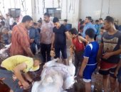 محافظ بنى سويف: توزيع لحوم أضاحى على الأسر الأكثر احتياجا فى 100 قرية