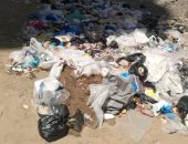 شكوى من عدم وجود صناديق القمامة بمدينة الأطباء فى الإسكندرية