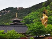 لتناقص أعداد معتنقى البوذية.. المعابد اليابانية تتحول لأماكن إقامة للسياح