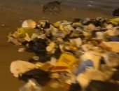 قارئ يشكو انتشار القمامة بشارع السودان بالمهندسين