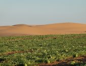 لدعم الزراعة بالدول العربية.. طريقة جديدة لتحويل الصحراء إلى تربة (صور)