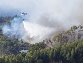 الحرائق تجتاح جزيرة كناريا السياحية بإسبانيا وإجلاء الآلاف 