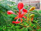 طالب يهوى التصوير ويشارك "صحافة المواطن" بمجموعة من أعماله