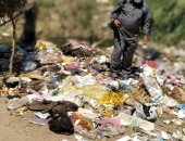 صور.. "صحة الشرقية": لم نرصد أى البعوض الناقل للملاريا وحمى الدنج