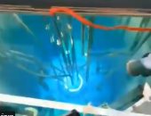 شاهد.. وكالة الطاقة الذرية تنشر لقطات مثيرة لتشغيل مفاعل نووى