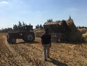  البيئة: إجراءات رادعة ضد المخالفين لمنع حرق قش الأرز والحد من التلوث