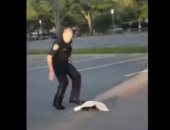 شاهد.. شرطى أمريكى ينقذ حيوانا علقت رأسه بعلبة وبعدها يفاجأ بهجوم الحيوان