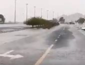 فيديو.. أمطار غزيرة على الرياض تزامنا مع انعقاد القمة الخليجية