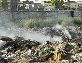انتشار القمامة بمنطقة فلسطين بالعامرية يزعج السكان.. صور 
