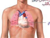 "التامور".. غلاف سميك يثبت قلبك بالقفص الصدرى التهابه يسبب ألما شديدا