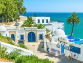وزير السياحة التونسى يبحث مع نظيرته البريطانية التعاون المشترك