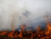 مصرع شخصين بسبب حرائق الغابات جنوب إيطاليا