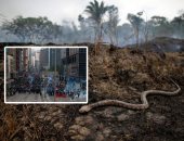 صور.. العالم هذا الصباح.. اتساع رقعة حرائق غابات الأمازون لـ1.5 ألف هكتار والدخان يغطى مساحات كبيرة.. الآلاف يفرون من فنزويلا للإكوادور بسبب الأزمة السياسية..وشرطة هونج كونج تعتقل عشرات المحتجين بعد اشتباكات