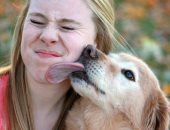 تقبيل الكلب ولعقه للوجه قد يصيبك بالمرض..لهذه الأسباب