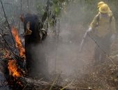 البرازيل تنشر 44 ألف جندى من قوات الجيش لمواجهة حرائق غابات الأمازون