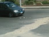 فيديو.. شكوى من تهالك الأسفلت بشارع مساكن الشباب بالقاهرة الجديد