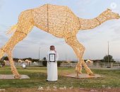 صور .. تعرف على أكبر مجسم للهجن فى العالم مقره السعودية