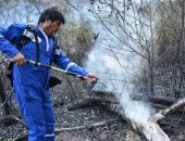 صور.. رئيس بوليفيا يشارك فى إخماد حرائق الغابات ببلاده