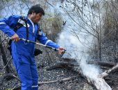 صور.. أثار كارثية بسبب حرائق الغابات فى بوليفيا وتفحم عشرات الحيوانات