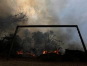 النيران تأكل غابات الأمازون .."رئة الأرض"
