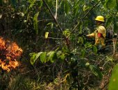 استمرار جهود إخماد حرائق الغابات فى الأمازون