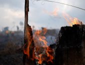 صور.. استمرار جهود مكافحة الحرائق فى غابات الأمازون 