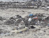 تجمع القمامة على شاطئ النخيل والزراعيين.. شكوى "حازم" من الاسكندرية
