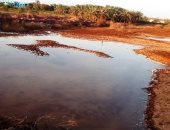 تسربات مياه الصرف بالوادى الجديد تلتهم أجود الأراضى الزراعية.. صور