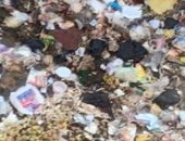 شكوى من محاصرة تلال القمامة لخط سكة الحديد شبين شبرا بمحافظة القليوبية