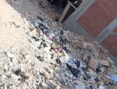شكوى من انتشار القمامة بشارع عصام بالمرج الجديدة