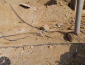 شكوى من وجود كابلات كهرباء مكشوفة في الحى الثانى بمدينة العبور