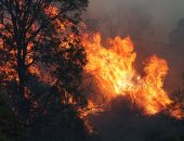 ساحل استراليا الشرقى يكافح حرائق الغابات.. وتدمير 21 منزلا