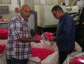 ضبط 11 طن بلاستيك مجروش فى مصنع بدون ترخيص بالإسكندرية