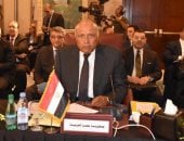 وزير الخارجية: مشاورات عربية بشأن توقيت عودة سوريا إلى الجامعة العربية