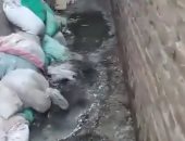شكوى من انتشار مياه الصرف الصحى بشوارع قرية الباجور بالمنوفية